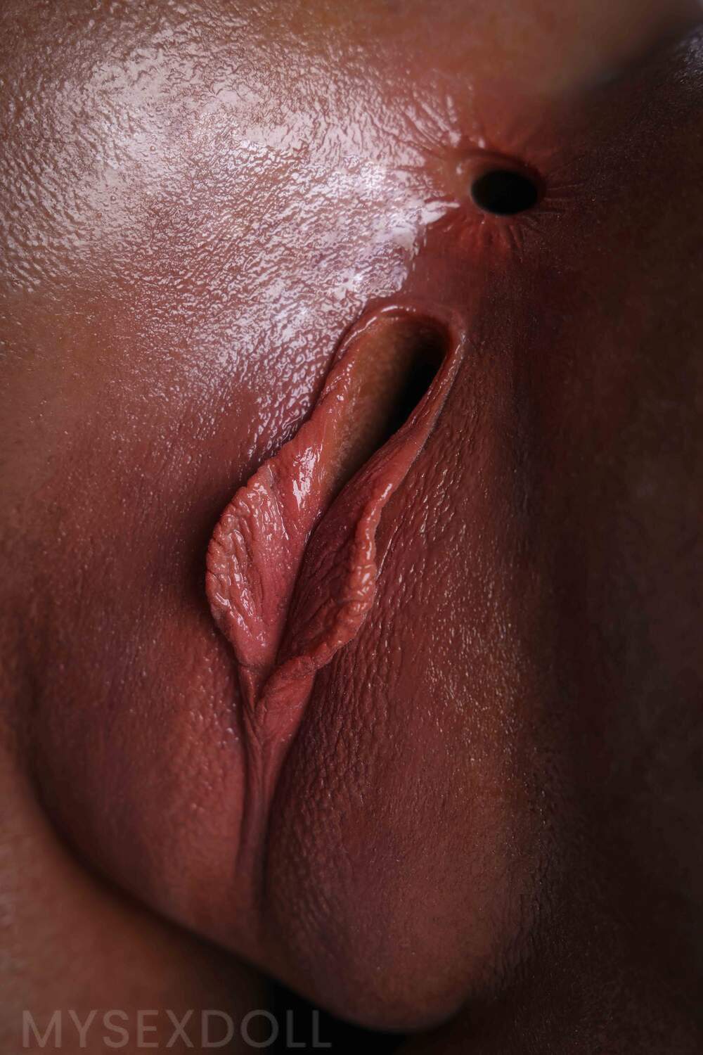 LoveNestle | Lynwood 10 in / 26 cm Delicate Silicone Torso (US Stock)