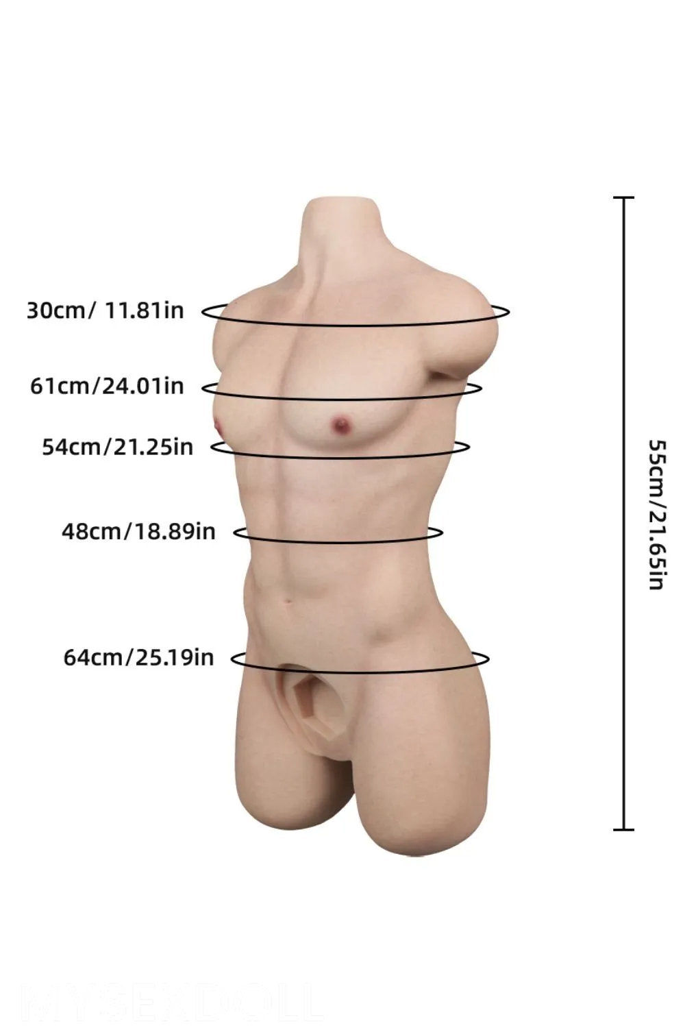 LoveNestle | Aiden 1 ft 10 in / 55 cm Delicate Male Silicone Torso (US Stock)